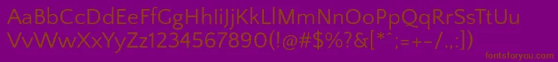 QuattrocentosansRegular Font – Brown Fonts on Purple Background