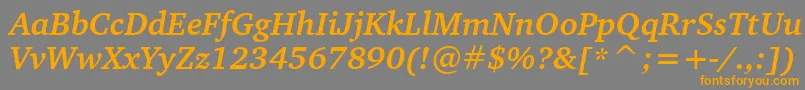 フォントCharterBoldItalicBt – オレンジの文字は灰色の背景にあります。