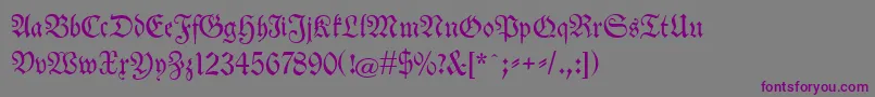 Neuetheuerdankfrakturunz1a Font – Purple Fonts on Gray Background