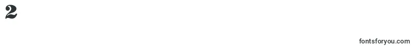 SaltPetNonEroded Font – Fonts for Digit 2