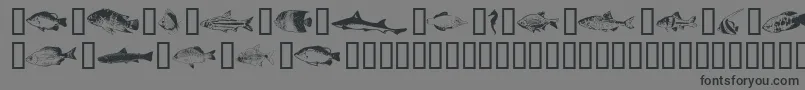 Fishpta ffy Font – Black Fonts on Gray Background