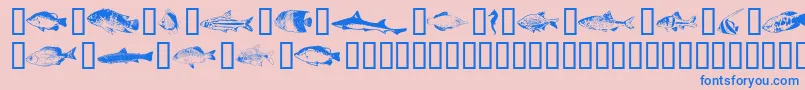 Fishpta ffy Font – Blue Fonts on Pink Background