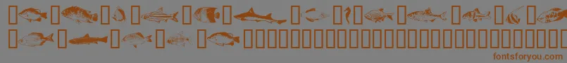 Шрифт Fishpta ffy – коричневые шрифты на сером фоне