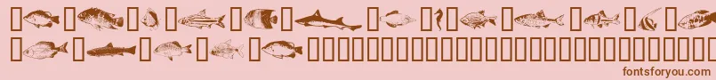 Fishpta ffy Font – Brown Fonts on Pink Background