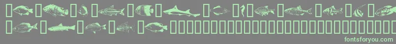 フォントFishpta ffy – 灰色の背景に緑のフォント