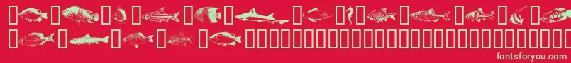 Fishpta ffy Font – Green Fonts on Red Background