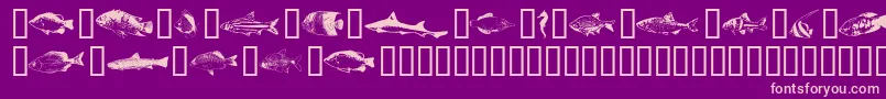 Fishpta ffy Font – Pink Fonts on Purple Background