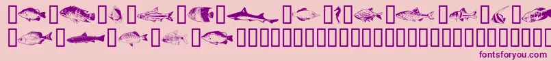 Fishpta ffy Font – Purple Fonts on Pink Background