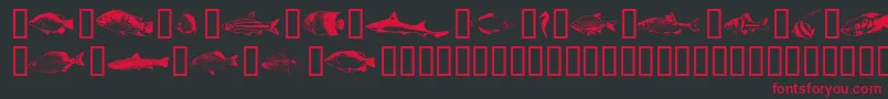 Weitere Informationen zur Fishpta ffy-Schriftart Fishpta ffy-Schriftart – Rote Schriften auf schwarzem Hintergrund