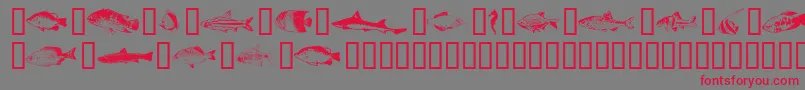 Weitere Informationen zur Fishpta ffy-Schriftart Fishpta ffy-Schriftart – Rote Schriften auf grauem Hintergrund
