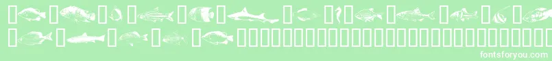 フォントFishpta ffy – 緑の背景に白い文字