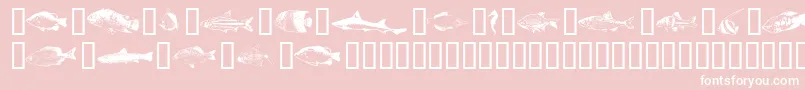 More about Fishpta ffy Font Fishpta ffy Font – White Fonts on Pink Background