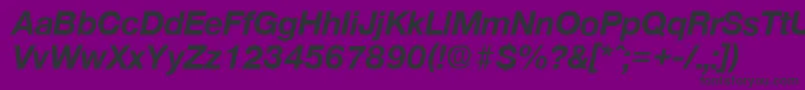 OlnovaBoldita Font – Black Fonts on Purple Background