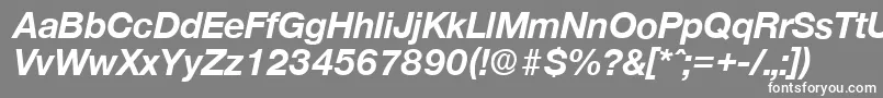 フォントOlnovaBoldita – 灰色の背景に白い文字