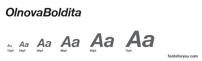 OlnovaBoldita Font Sizes