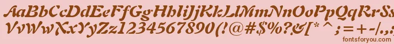 More about Freeform721BlackItalicBt Font Freeform721BlackItalicBt Font – Brown Fonts on Pink Background