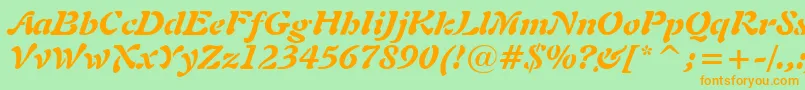 Freeform721BlackItalicBt Font – Orange Fonts on Green Background