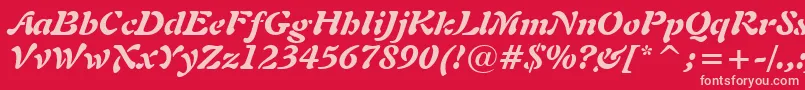 Freeform721BlackItalicBt Font – Pink Fonts on Red Background
