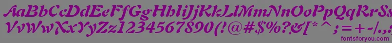 Шрифт Freeform721BlackItalicBt – фиолетовые шрифты на сером фоне