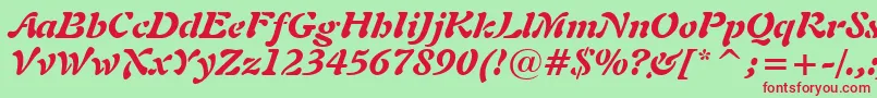Freeform721BlackItalicBt Font – Red Fonts on Green Background