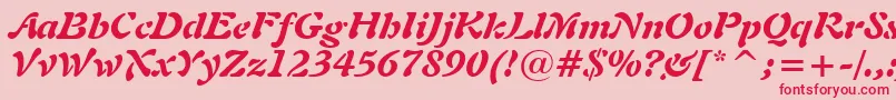 Freeform721BlackItalicBt Font – Red Fonts on Pink Background