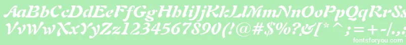 Freeform721BlackItalicBt Font – White Fonts on Green Background