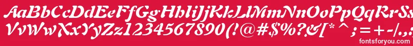 Freeform721BlackItalicBt Font – White Fonts on Red Background
