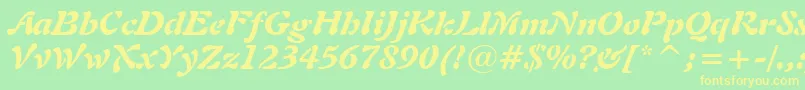 Freeform721BlackItalicBt Font – Yellow Fonts on Green Background