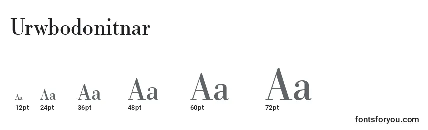 Размеры шрифта Urwbodonitnar