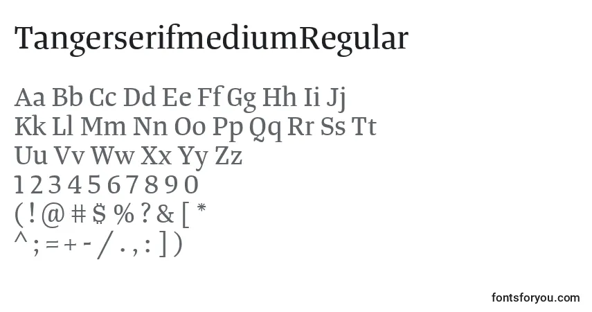 Czcionka TangerserifmediumRegular – alfabet, cyfry, specjalne znaki