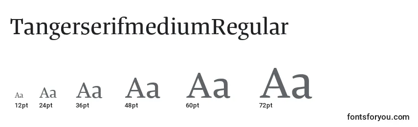 Размеры шрифта TangerserifmediumRegular