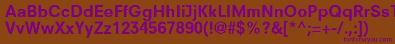 ParallaxSsiBold Font – Purple Fonts on Brown Background