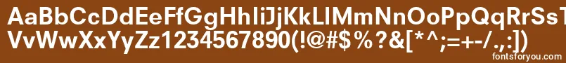 ParallaxSsiBold Font – White Fonts on Brown Background