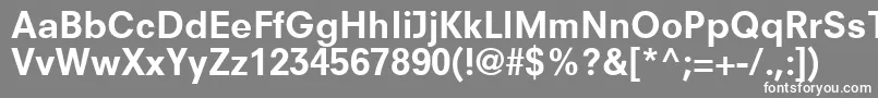 フォントParallaxSsiBold – 灰色の背景に白い文字