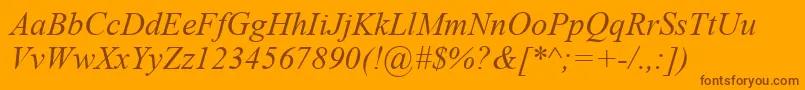 TimesNewRomanItalic Font – Brown Fonts on Orange Background