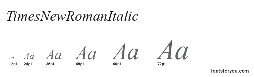 TimesNewRomanItalic Font Sizes