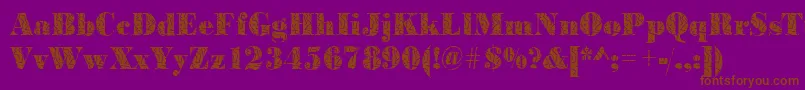 BodonistrokesRegular-Schriftart – Braune Schriften auf violettem Hintergrund