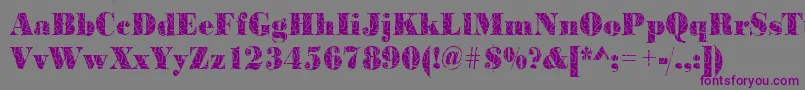 BodonistrokesRegular Font – Purple Fonts on Gray Background