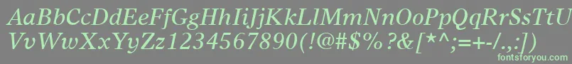 TimesEuropaLtItalic Font – Green Fonts on Gray Background