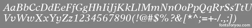 TimesEuropaLtItalic-Schriftart – Weiße Schriften auf grauem Hintergrund