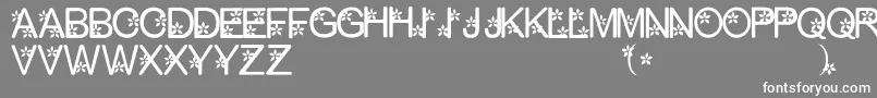 フォントPetty – 灰色の背景に白い文字