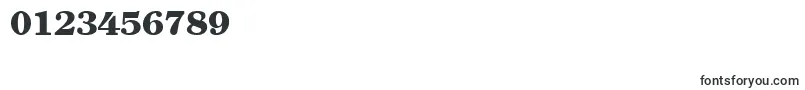 ClearlyromanheavyRegular Font – Fonts for Numbers and Digits