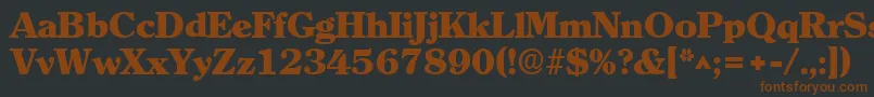 ClearlyromanheavyRegular Font – Brown Fonts on Black Background