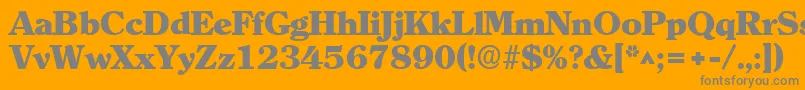 ClearlyromanheavyRegular Font – Gray Fonts on Orange Background