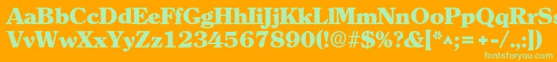 ClearlyromanheavyRegular Font – Green Fonts on Orange Background