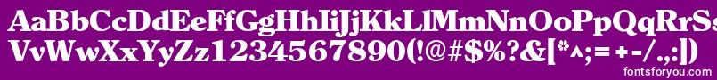 ClearlyromanheavyRegular Font – White Fonts on Purple Background