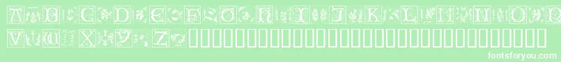 Ramo2Caps Font – White Fonts on Green Background