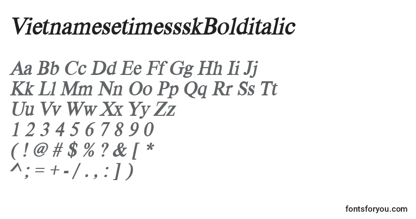Шрифт VietnamesetimessskBolditalic – алфавит, цифры, специальные символы