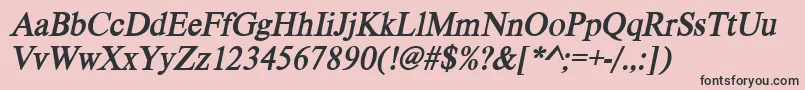 VietnamesetimessskBolditalic Font – Black Fonts on Pink Background