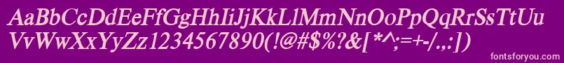 VietnamesetimessskBolditalic Font – Pink Fonts on Purple Background